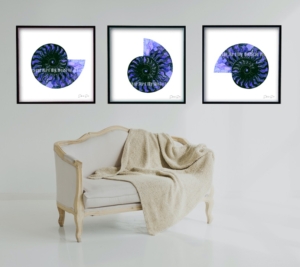 Ammonite-Black- Plexi-Blue-couch