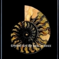 Ammonite-Fibonacci-Dark-peach-8